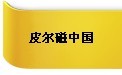 皮爾磁參展第13屆華南地區工業控制自動化國際展覽會