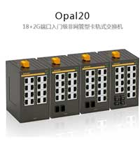 Opal20系列入門級非網管型卡軌式交換機